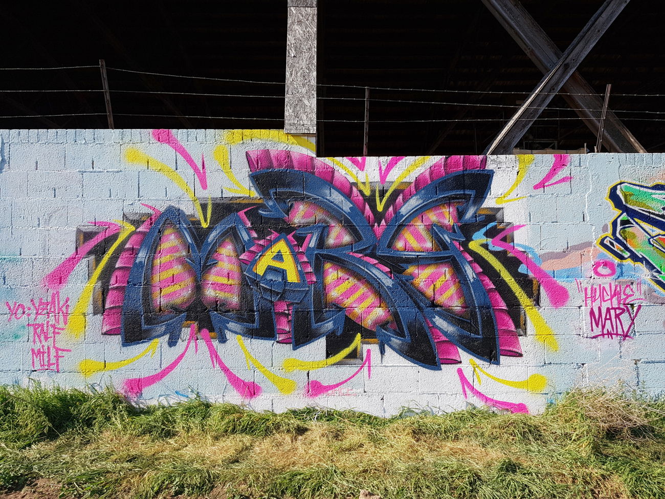 Graffiti Wall - Photo by huckleMary - hucklemary, 169kingz, dudes (2019)