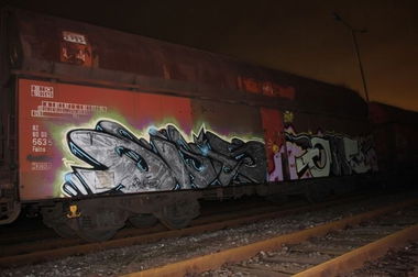 Graffiti Train in Germany - Photo by iPuke - hmb, qws, duisburg
