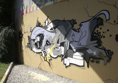 Photo #170746 by Belt