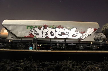 Graffiti Train in Germany - Photo by iPuke - hmb, qws, duisburg