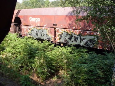 Graffiti Train in Germany - Photo by iPuke - hmb, qws, duisburg