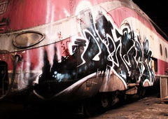 Photo #170821 by TheWallHunter