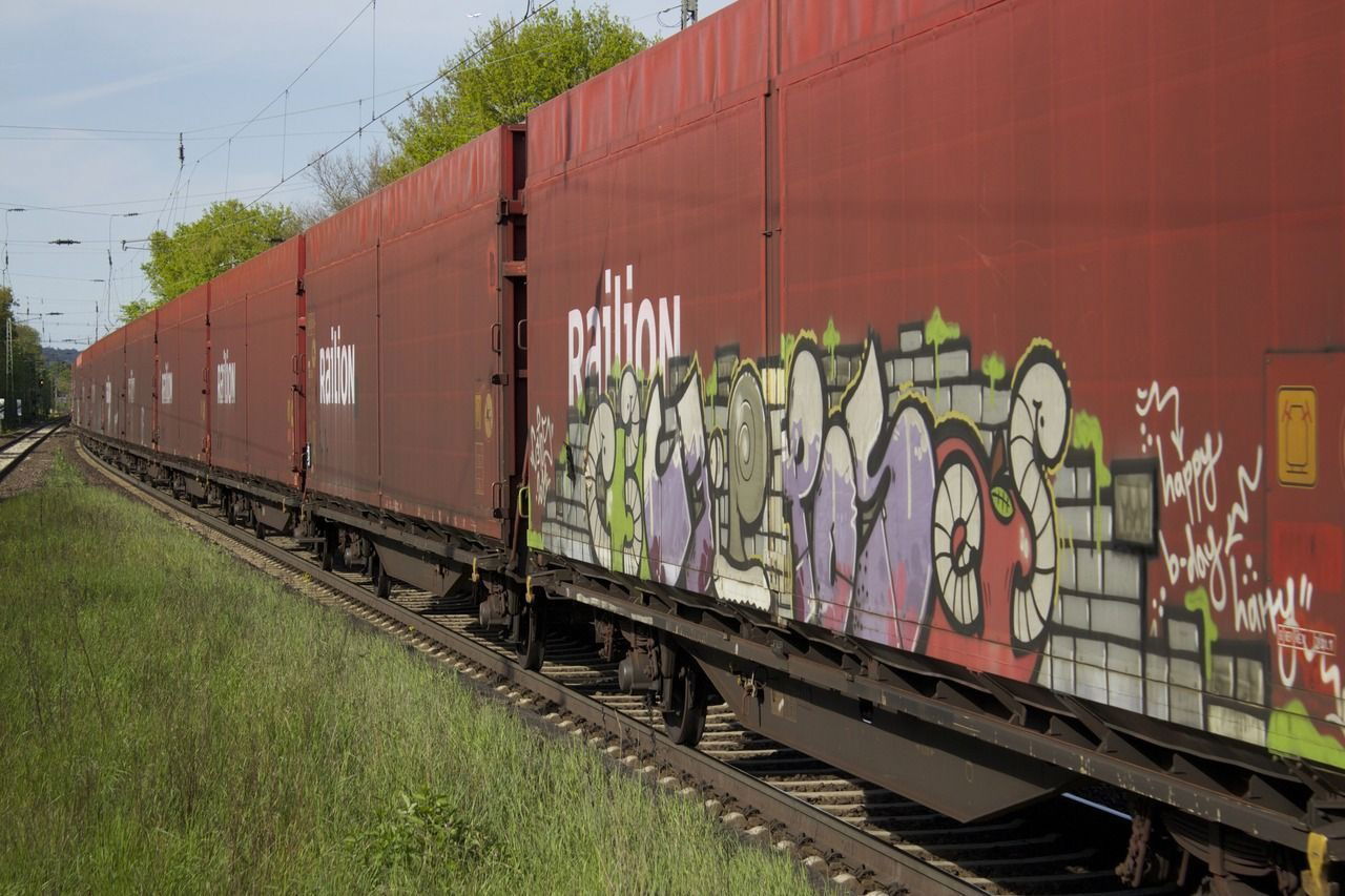 Graffiti Train in Germany - Photo by iPuke - hmb, qws, duisburg