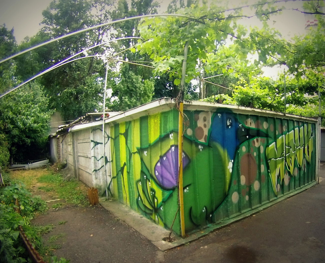 Graffiti Wall - Photo by iammok1