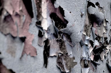 Graffiti Artwork in Dresden - Photo by iltis