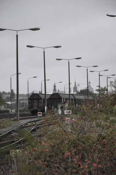 Graffiti Train in Dresden - Photo by iltis