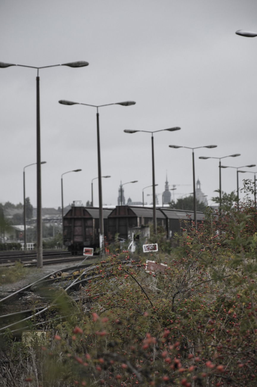 Graffiti Train in Dresden - Photo by iltis