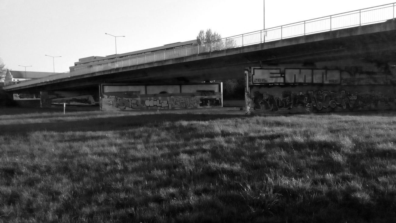 Graffiti Wall - Photo by iltis