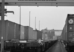 Photo #175137 by graffiti2017