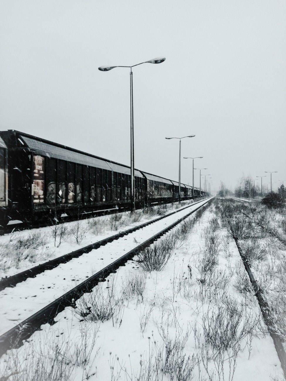 Graffiti Artwork - Photo by iltis