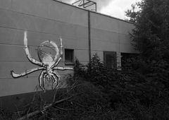 Graffiti Street Art - Photo by iltis