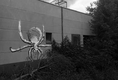 Graffiti Street Art - Photo by iltis