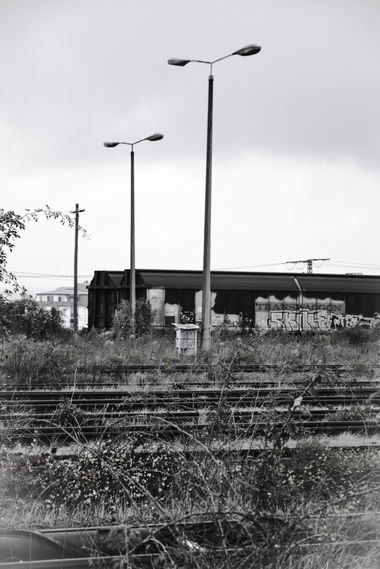 Graffiti Train in Dresden - Photo by iltis