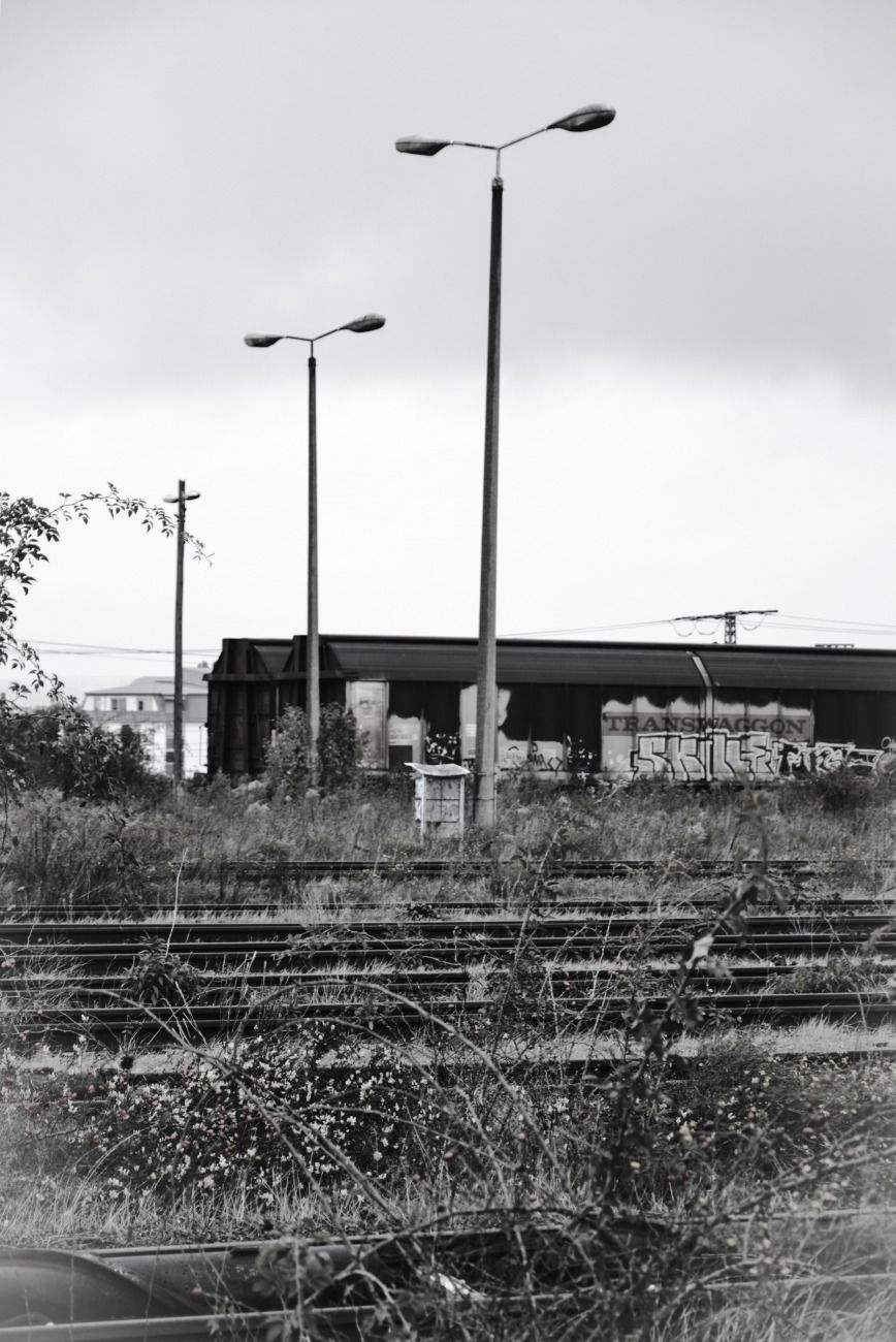 Graffiti Train in Dresden - Photo by iltis