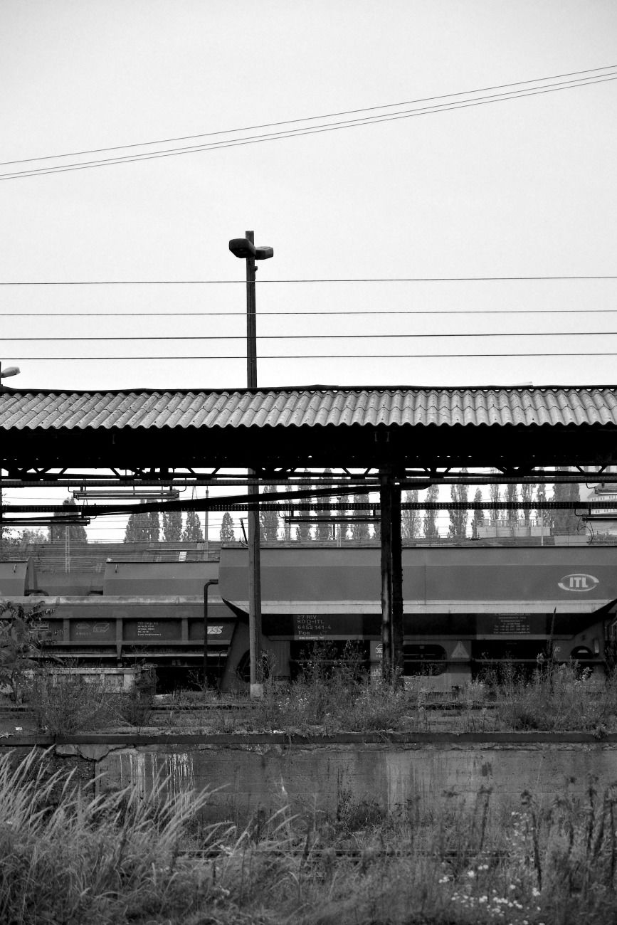 Graffiti Artwork in Dresden - Photo by iltis