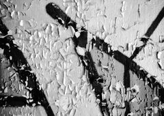 Photo #204536 by Belt