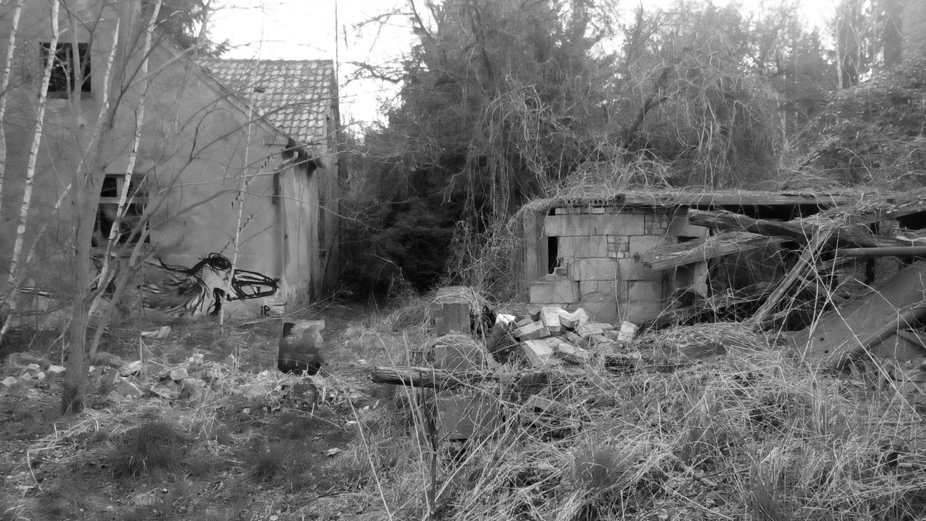 Graffiti Street Art - Photo by iltis