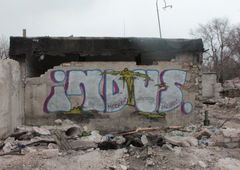 Photo #8178 by Snaper