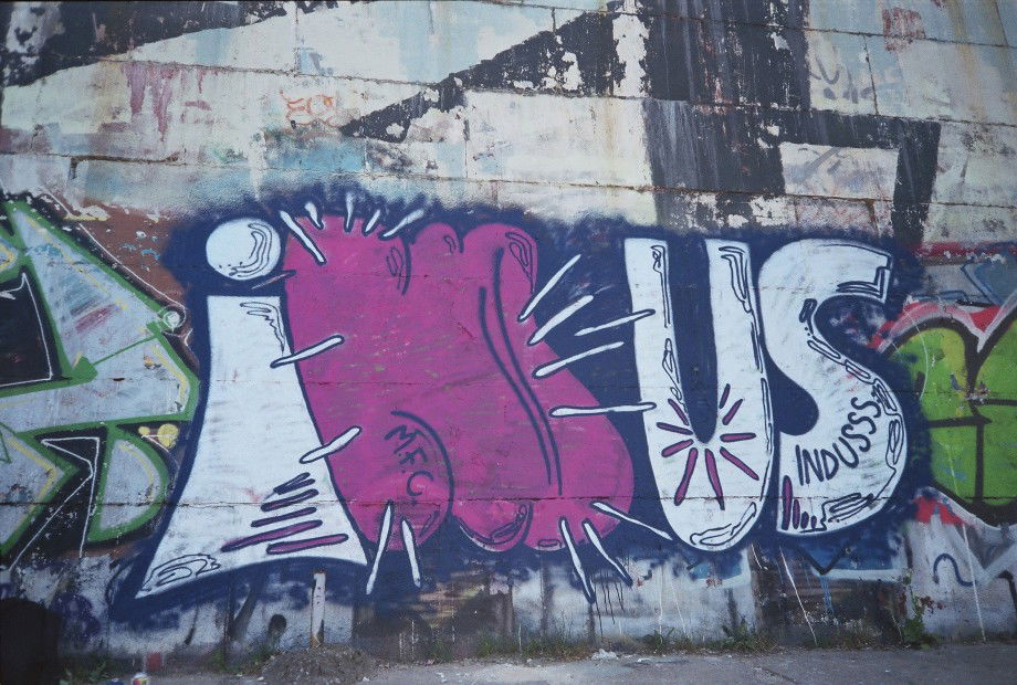 Graffiti Bombing in Kyiv - Photo by indusss - indus (2013)