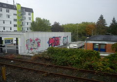 Photo #48310 by Zane_one