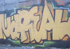 Photo #54031 by Belt