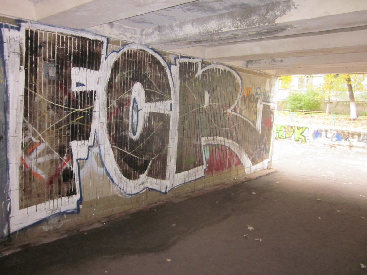 Graffiti Bombing - Photo by inkfcr - FCR (2012)