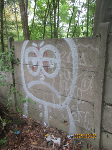 Graffiti Bombing - Photo by inspektoruchu