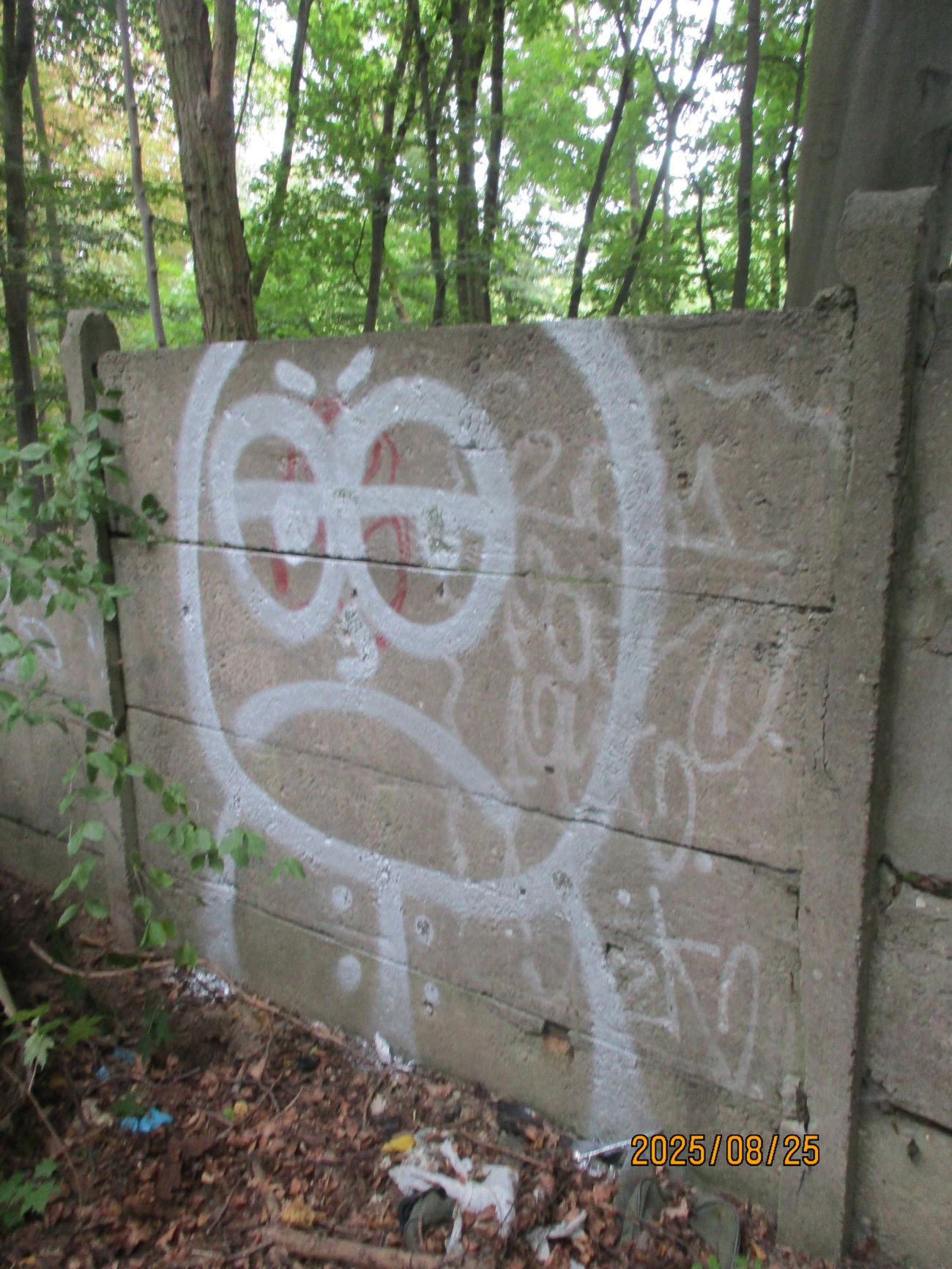 Graffiti Bombing - Photo by inspektoruchu