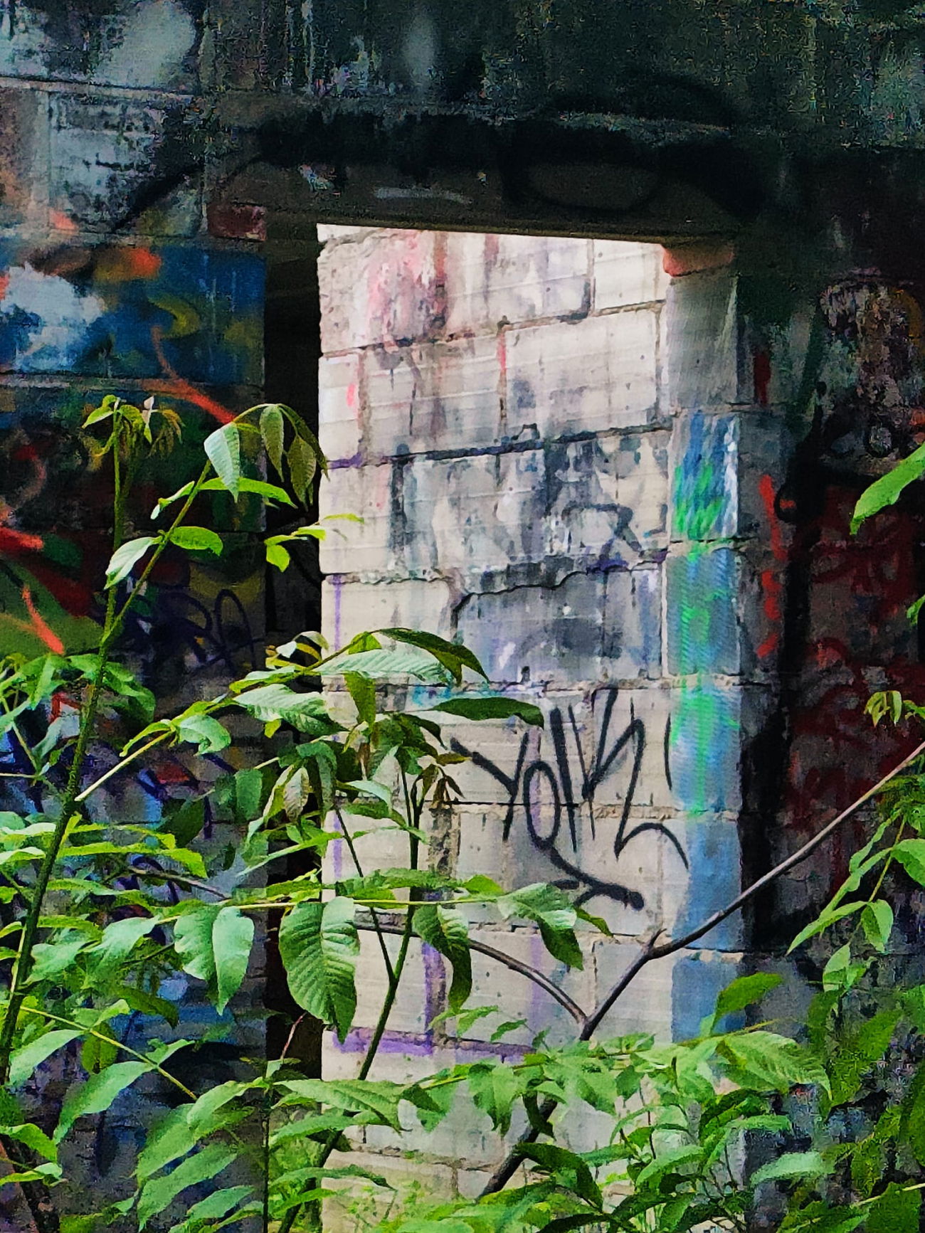 Graffiti Bombing - Photo by inspektoruchu (2025)