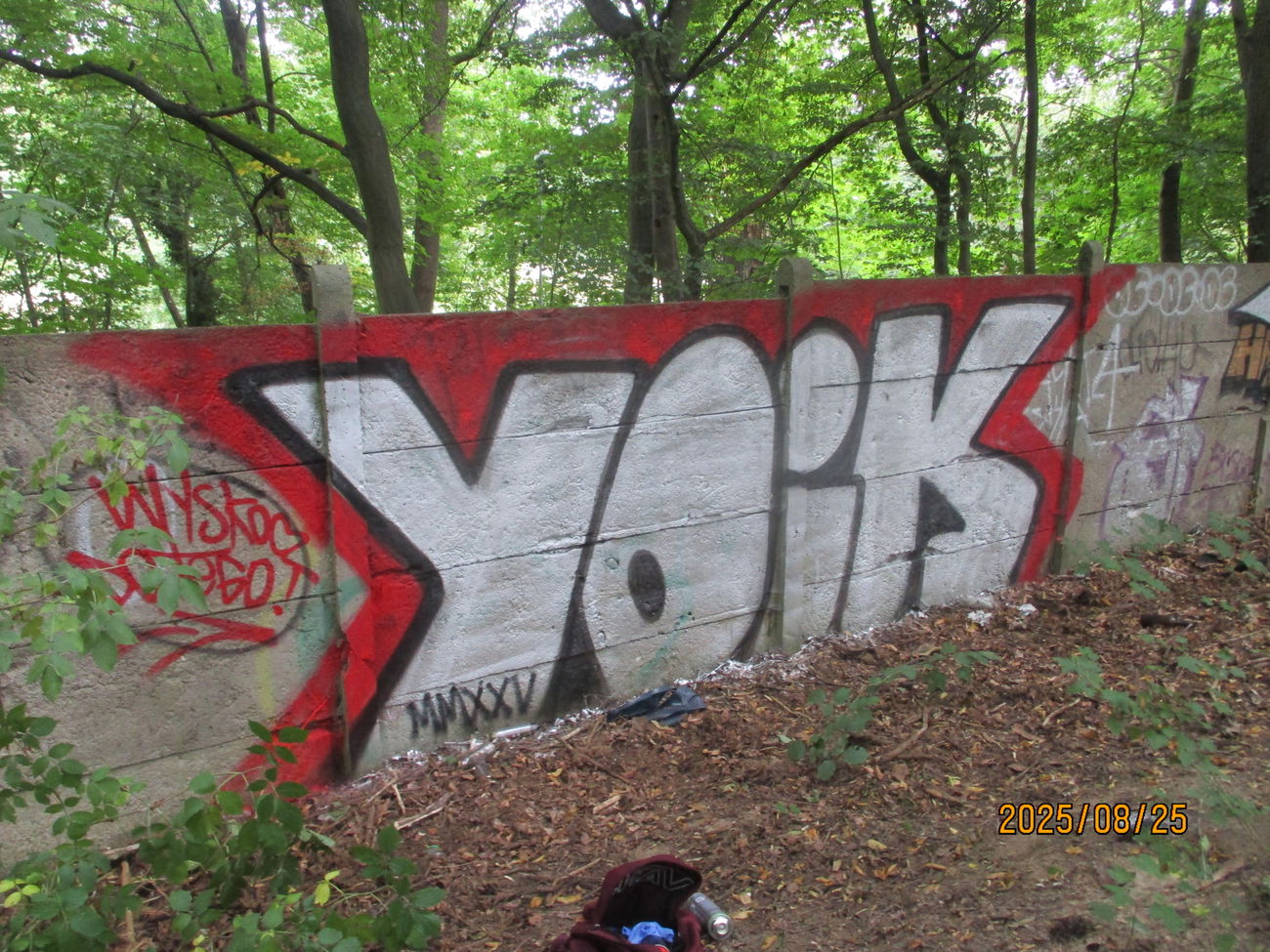 Graffiti Bombing - Photo by inspektoruchu