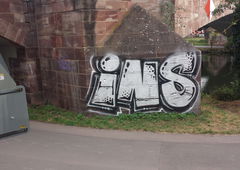 Graffiti Bombing - Photo by insvnez