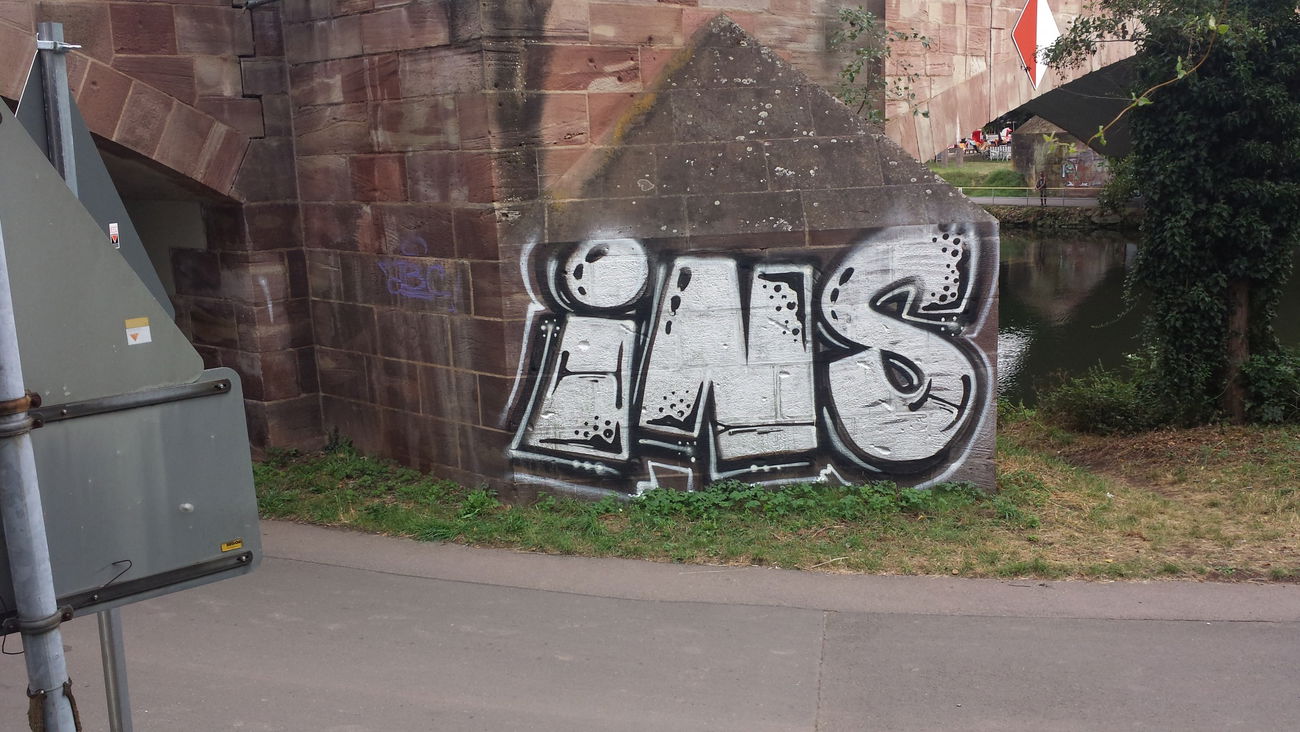 Graffiti Bombing - Photo by insvnez