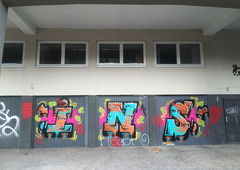 Graffiti Bombing - Photo by insvnez