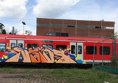 Graffiti Train - Photo by insvnez (2017)