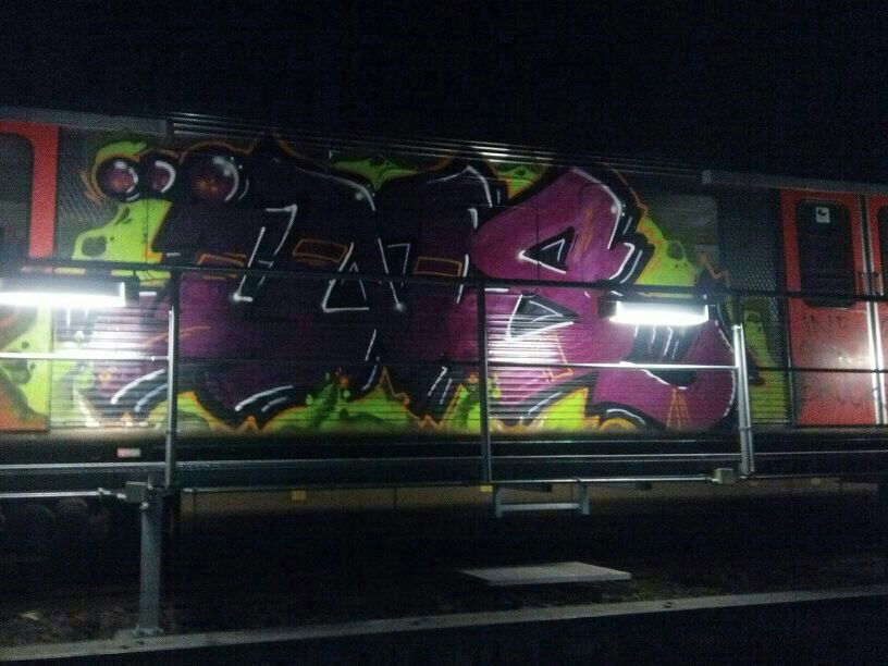 Graffiti Train - Photo by insvnez