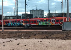 Graffiti Train - Photo by insvnez - ins, saarbrücken, naos