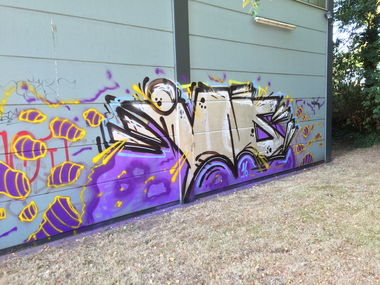 Graffiti Wall - Photo by insvnez