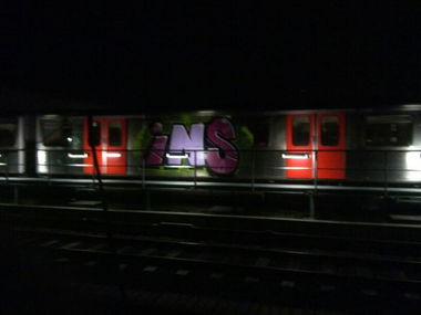 Graffiti Train - Photo by insvnez (2013)