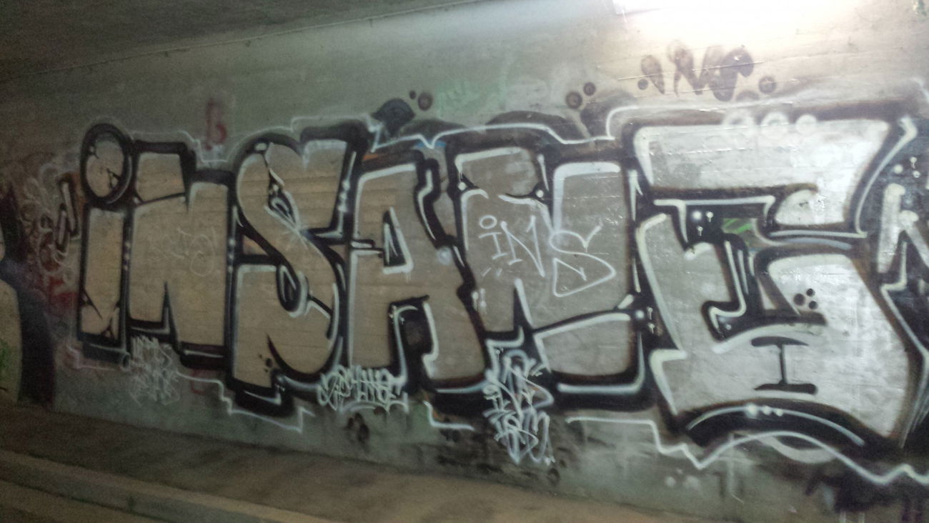 Graffiti Wall - Photo by insvnez