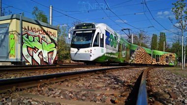 Graffiti Wall - Photo by insvnez