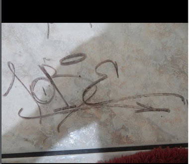 Graffiti Artwork - Photo by iobe1