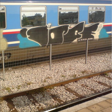 Graffiti Train - Photo by iobe1