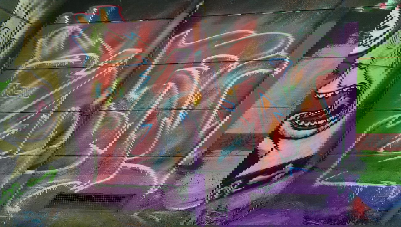 Graffiti Wall - Photo by ion - ion (2014)