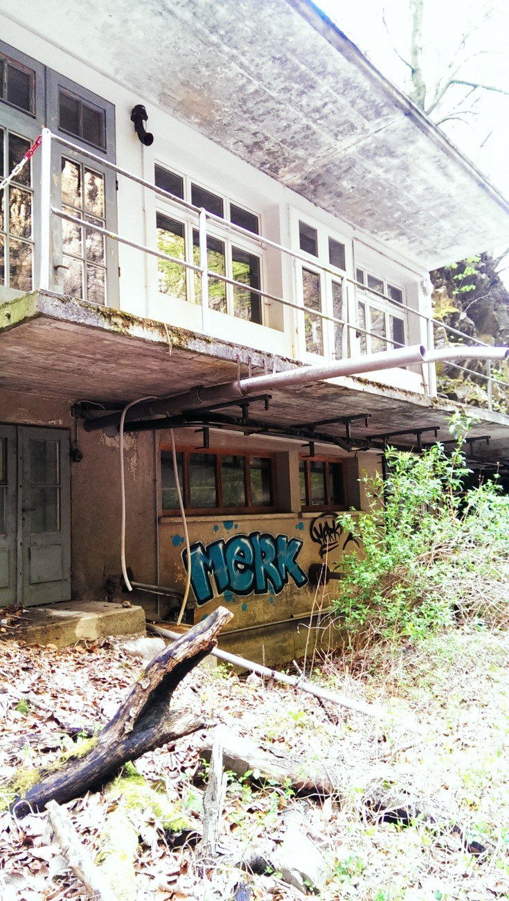 Graffiti Bombing in Switzerland - Photo by ion (2016)