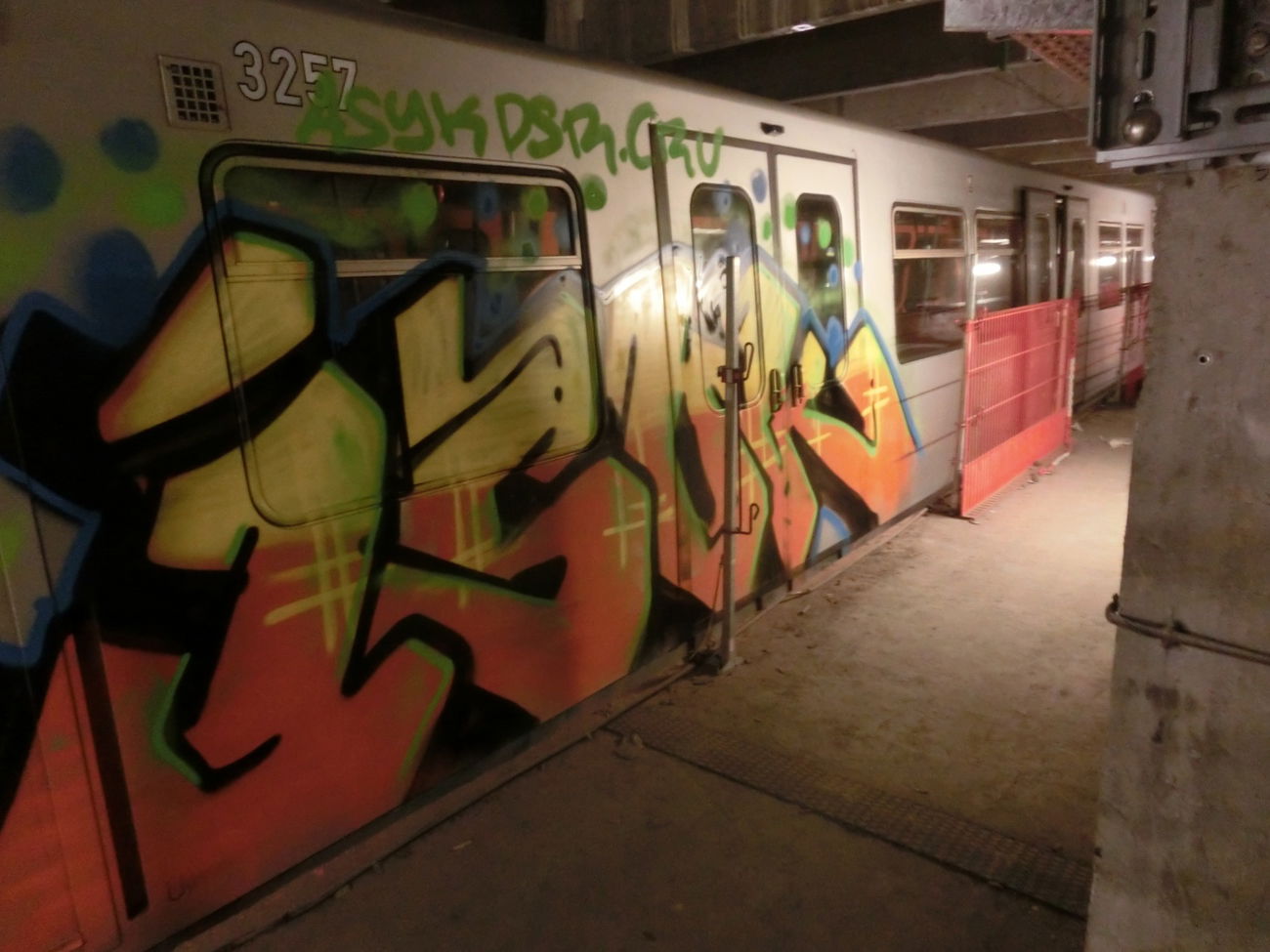 Graffiti Train - Photo by isok