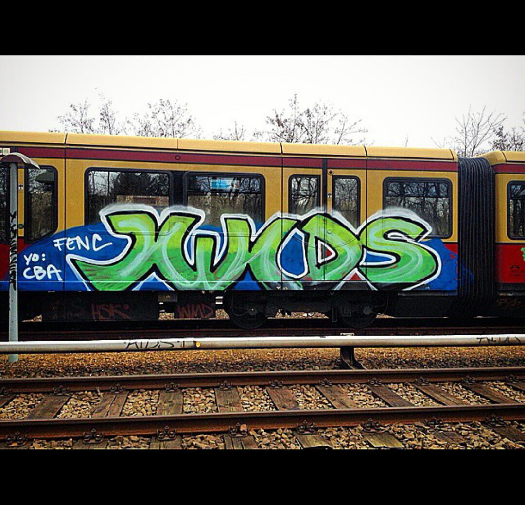 Graffiti Train - Photo by iwids (2015)