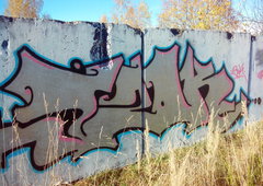 Photo #40248 by UGMCRU