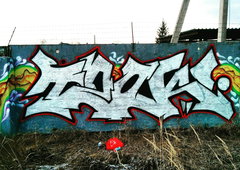 Photo #196553 by TagHagel