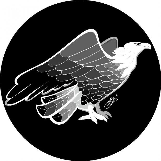 Graffiti Sketch - Photo by jacktiger - eagle, digitalsketch, sketch (2014)