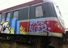 Photo #127694 by kwiatXwhoyou